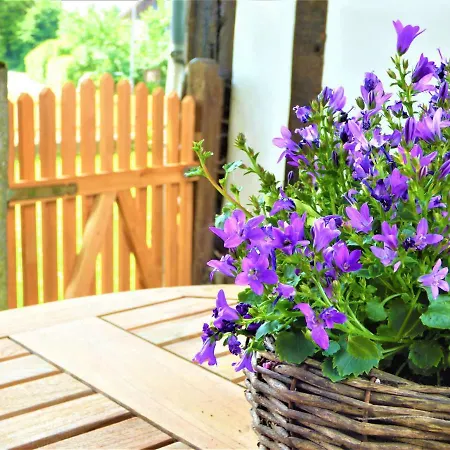 Tolles Fachwerkhaus Mit Garten Дом отдыха