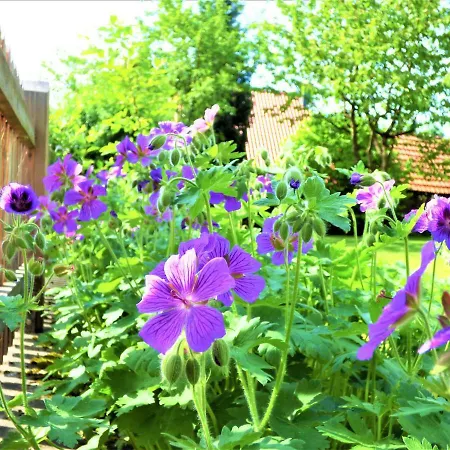 Tolles Fachwerkhaus Mit Garten Дом отдыха *