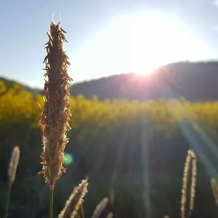 Tolles Fachwerkhaus Mit Garten *