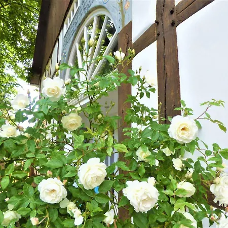 Tolles Fachwerkhaus Mit Garten Дом отдыха